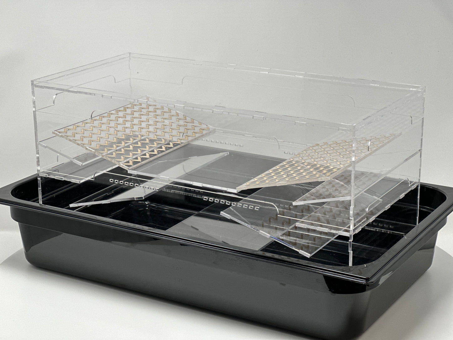 Beetle Self-Sorting Tray