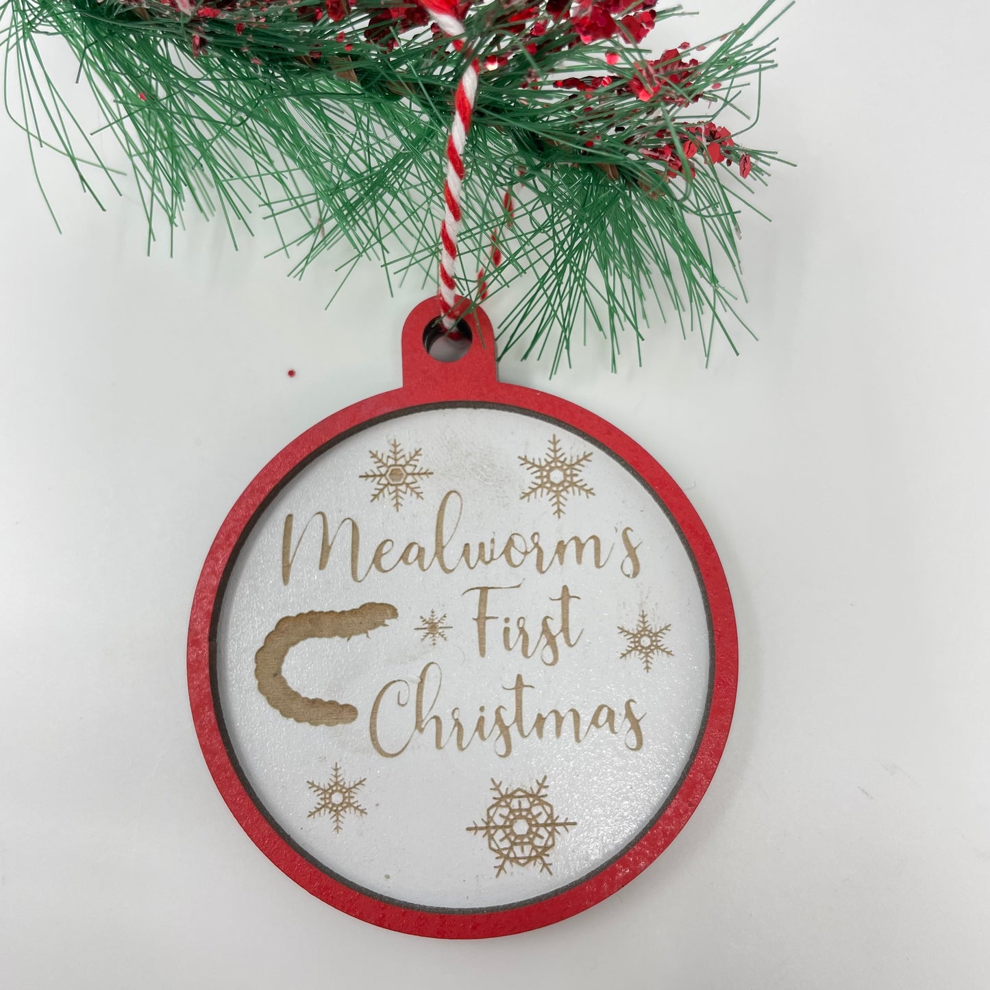 Mealworm's First Christmas Ornament
