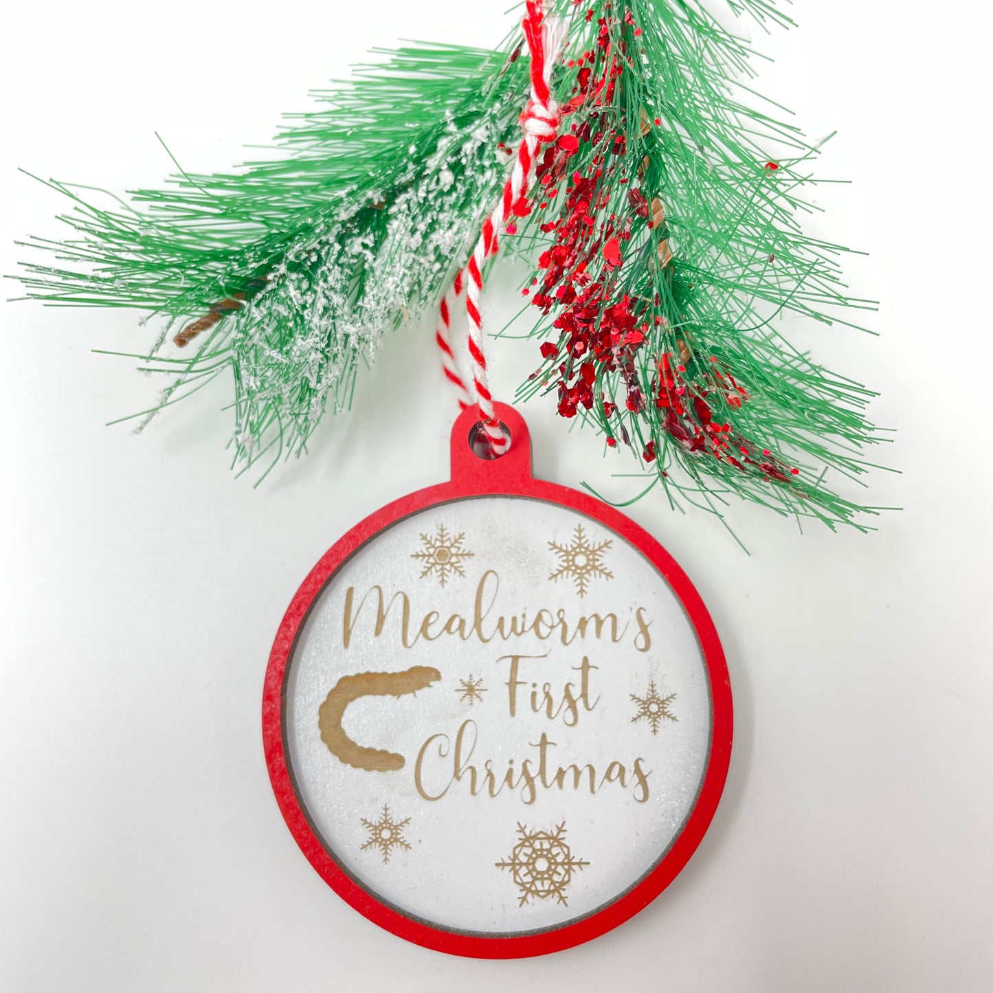 Mealworm's First Christmas Ornament