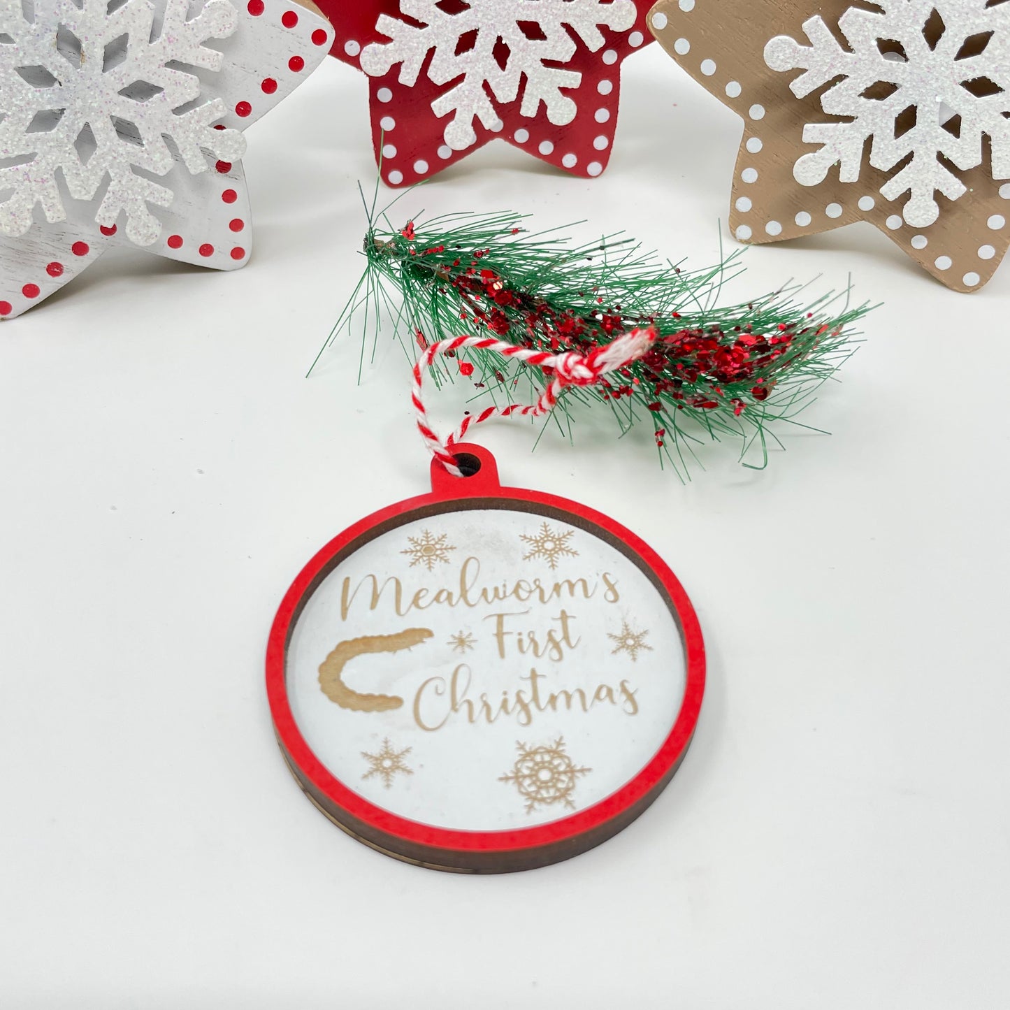 Mealworm's First Christmas Ornament